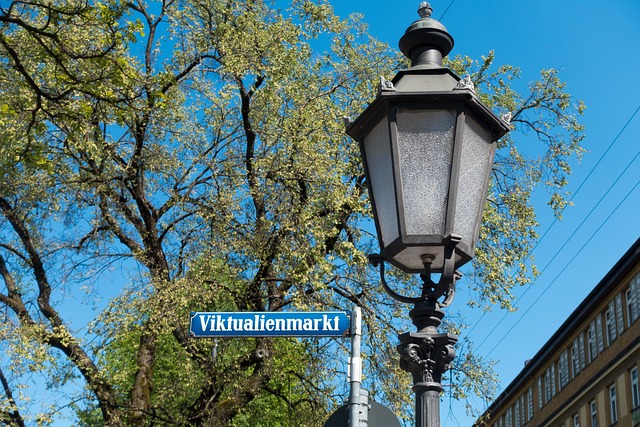 Straßenschild "Viktualienmarkt" neben Laterne, München